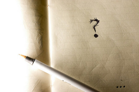"20 Questions" Script Report