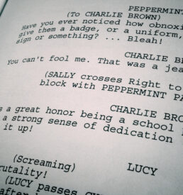 Script - Script Doctor Assessment Fee