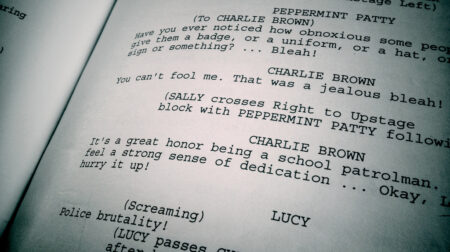 Script - Script Doctor Assessment Fee