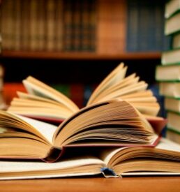 Books - Agent Submission Report